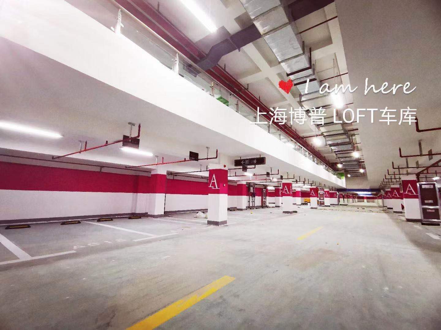 林芝已交竣的绿城豪华LOFT专利车库效果惊艳！